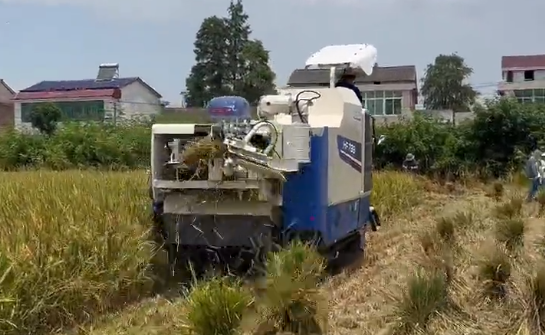 炎炎夏日，東風(fēng)井關(guān)半喂入收割打捆一體機(jī)不懼高溫，表現(xiàn)出色！